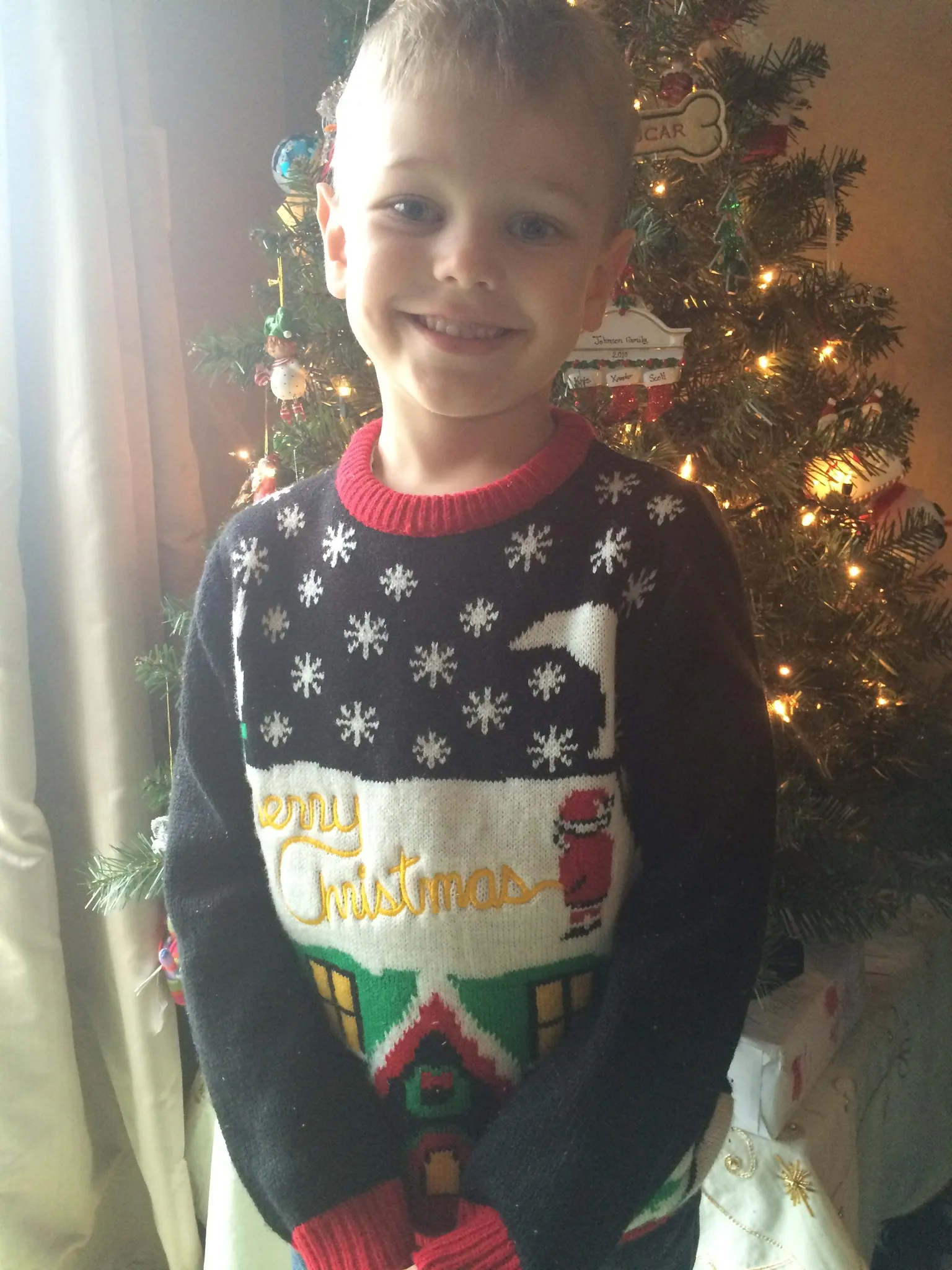 The Christmas Sweater